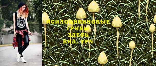 соль курить ск Заволжье