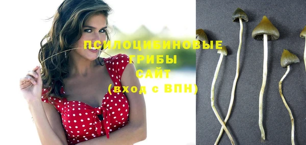 Альфа ПВП Заволжск